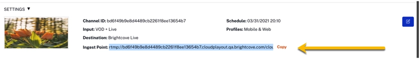 Static Entry Point for RTMP Ingest